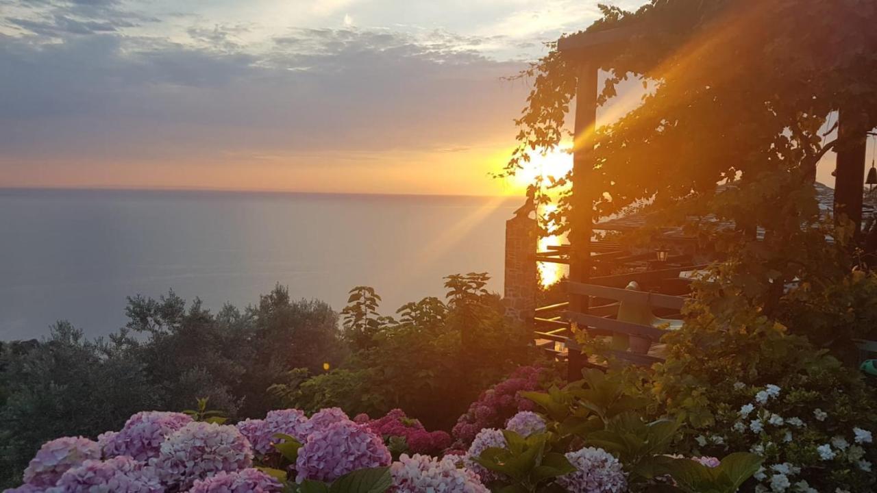 Sunriseview And Gallery Case de vacanță